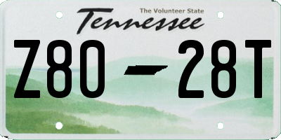 TN license plate Z8028T