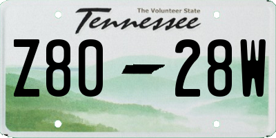 TN license plate Z8028W