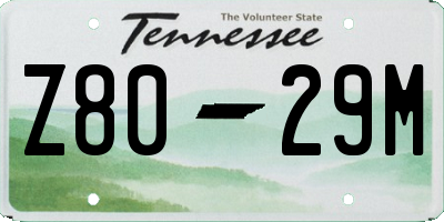 TN license plate Z8029M
