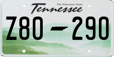 TN license plate Z8029O