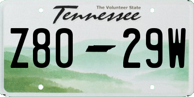 TN license plate Z8029W