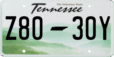 TN license plate Z8030Y