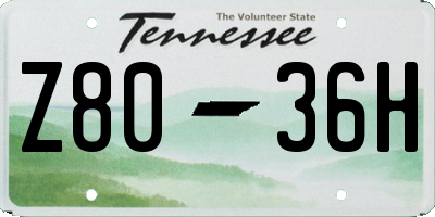 TN license plate Z8036H