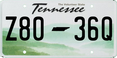 TN license plate Z8036Q
