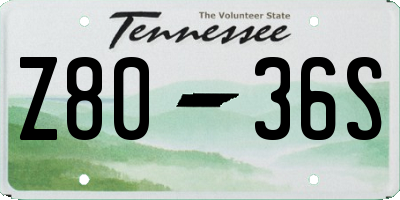 TN license plate Z8036S