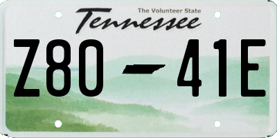 TN license plate Z8041E