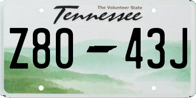 TN license plate Z8043J