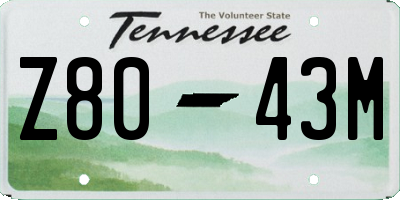 TN license plate Z8043M