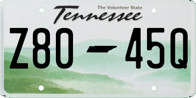TN license plate Z8045Q