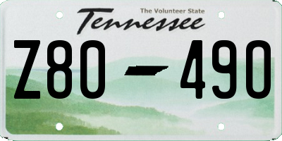 TN license plate Z8049O