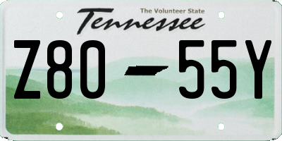 TN license plate Z8055Y