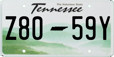 TN license plate Z8059Y