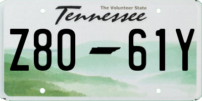 TN license plate Z8061Y