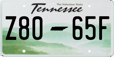 TN license plate Z8065F