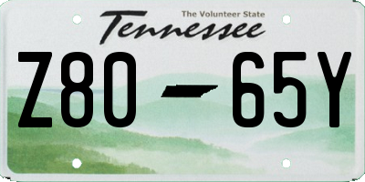 TN license plate Z8065Y