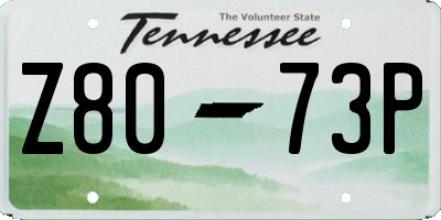 TN license plate Z8073P