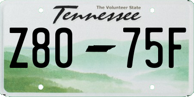 TN license plate Z8075F