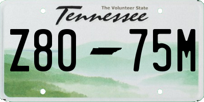 TN license plate Z8075M