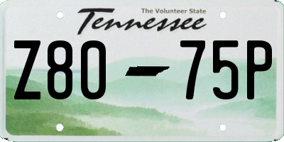 TN license plate Z8075P