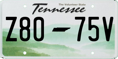 TN license plate Z8075V