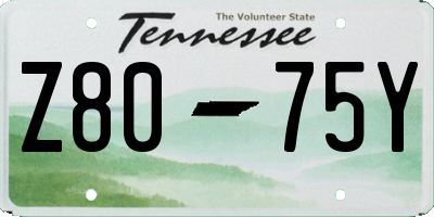 TN license plate Z8075Y