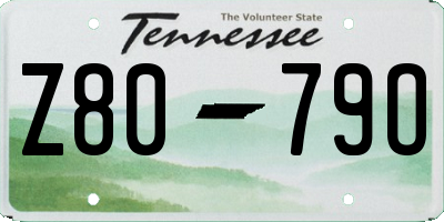TN license plate Z8079O