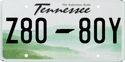TN license plate Z8080Y