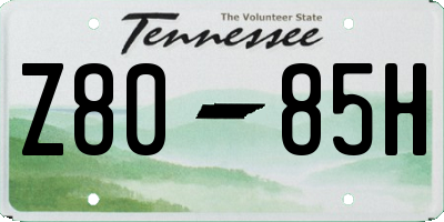 TN license plate Z8085H