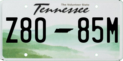TN license plate Z8085M