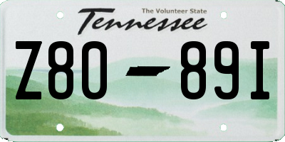 TN license plate Z8089I
