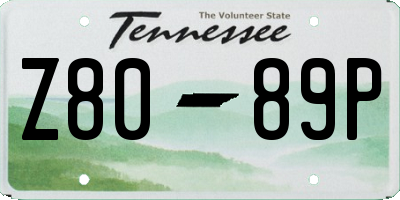 TN license plate Z8089P