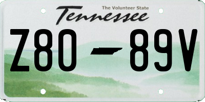 TN license plate Z8089V