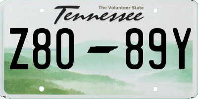 TN license plate Z8089Y