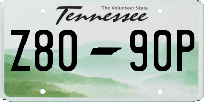 TN license plate Z8090P