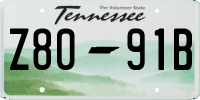 TN license plate Z8091B