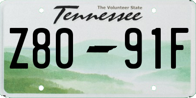 TN license plate Z8091F