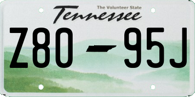 TN license plate Z8095J