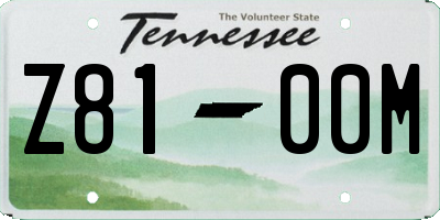 TN license plate Z8100M