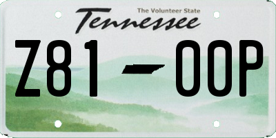 TN license plate Z8100P
