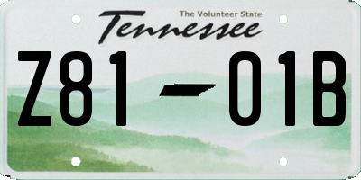 TN license plate Z8101B