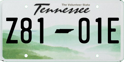 TN license plate Z8101E
