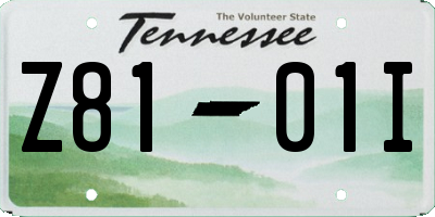 TN license plate Z8101I