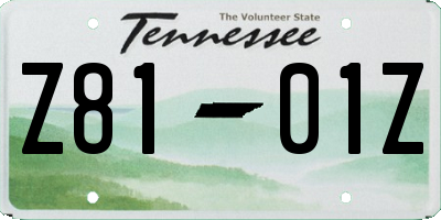 TN license plate Z8101Z