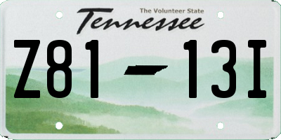 TN license plate Z8113I