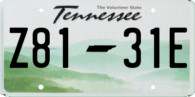 TN license plate Z8131E