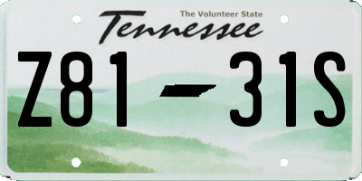 TN license plate Z8131S