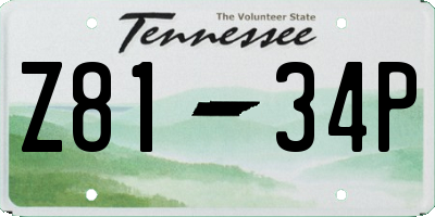 TN license plate Z8134P