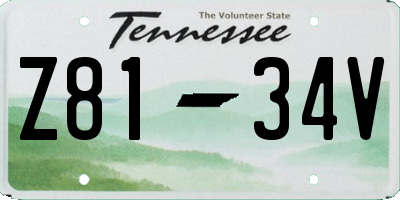 TN license plate Z8134V