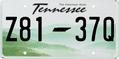 TN license plate Z8137Q