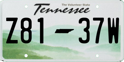 TN license plate Z8137W